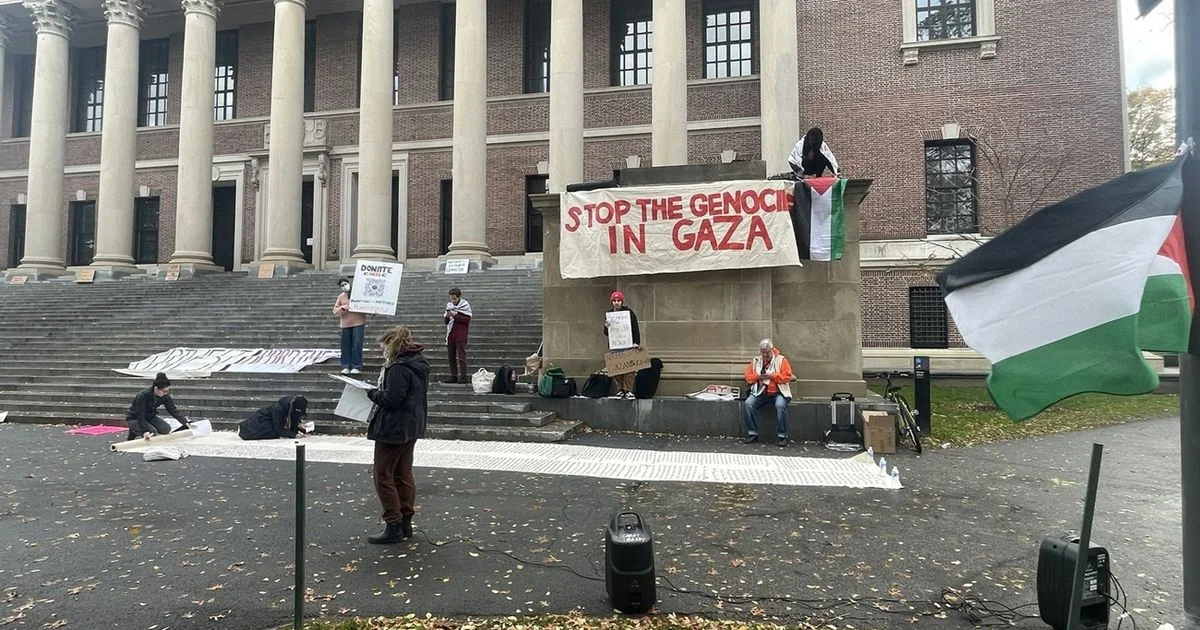 طلاب-هارفارد-تضامن